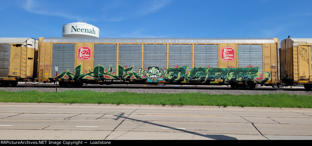 TTGX 693872